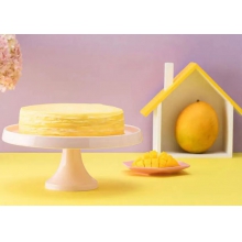 芒果千层（顺丰包邮 损坏包赔）