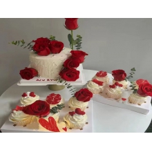 【订婚结婚系列】以爱之名